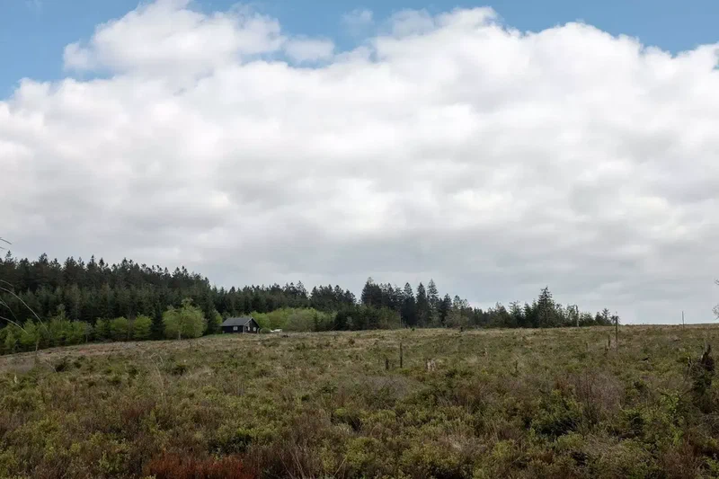 Lande des Hautes Fagnes sous de gros nuages