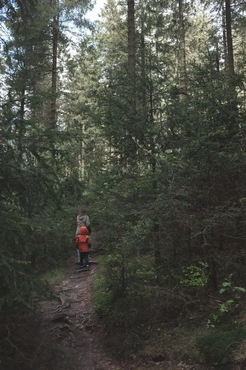 Deux promeneurs au bout d'un sentier dans les sapins