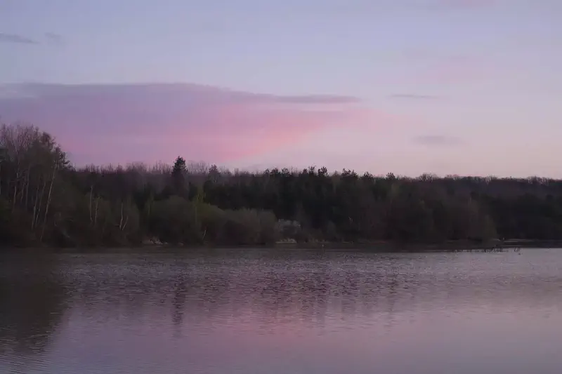 l&rsquo;etang pour une nuit