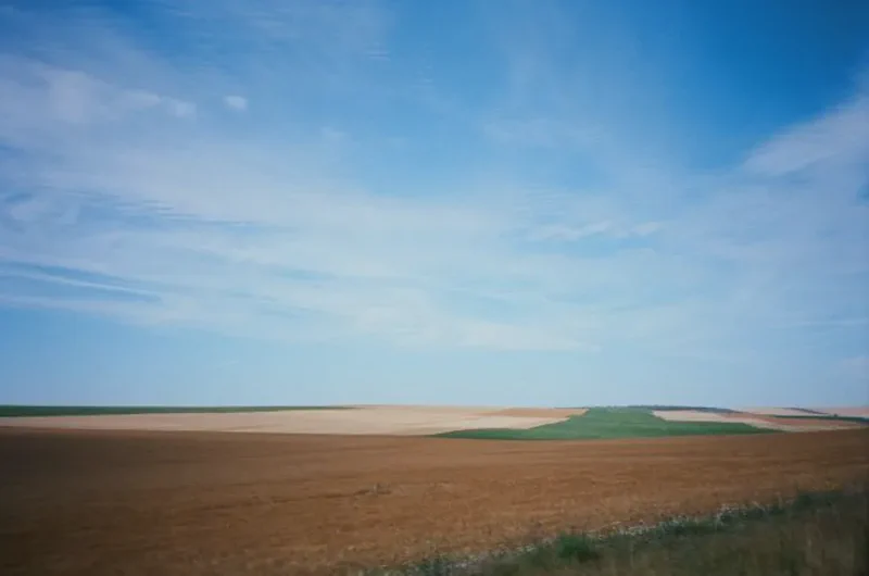 1 - Bonjour, Pedro's bay et l'utopie - D7716c9d 31b2 420f Aa69 8308884ab159