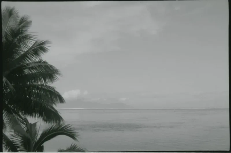 10 - Bouquins, caravanes et Z-Boys - 09f5e0a3 E222 4c27 82bb A6fc6ddd93c6