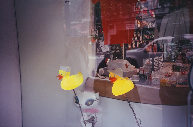 11 - Des livres, du CSV et Mowgli - 0e594c3e 1cc0 46e5 8a53 Ec3d5a5aebf7