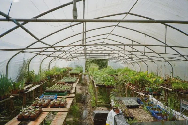 2 - Fire lookout, auto portraits et photo de chasse - 148a749b Bad5 4390 830c 9b6acb229114