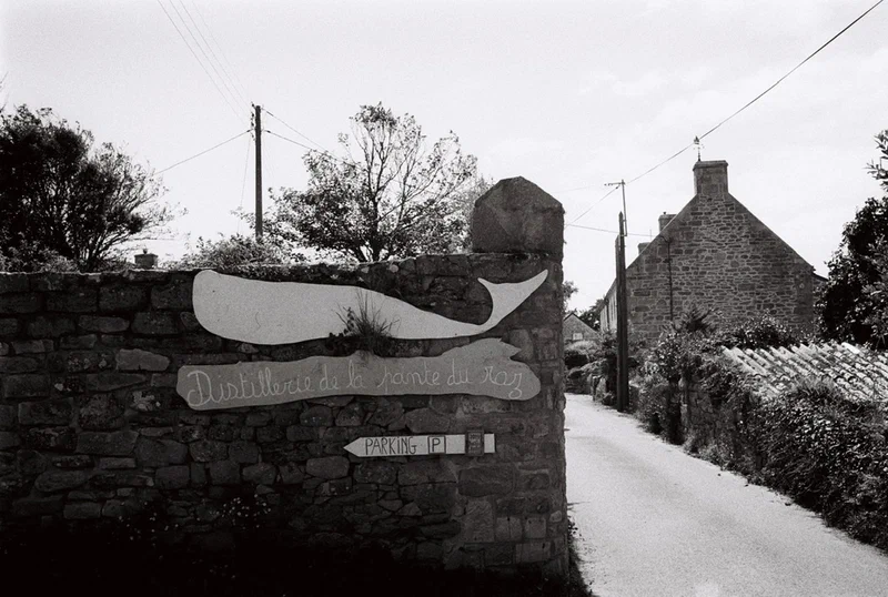 Mur de pierre peint d’une baleine dans un village breton, en noir et blanc