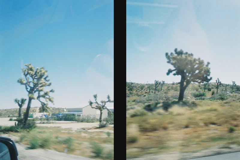 45 - Coyote, Demi frame et un café - 1st