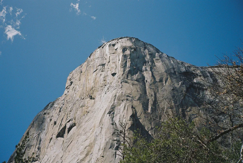 45 - Coyote, Demi frame et un café - Cover