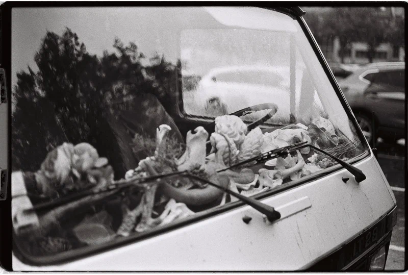 Coquillages posés sur le tableau de bord d’un van, en noir et blanc