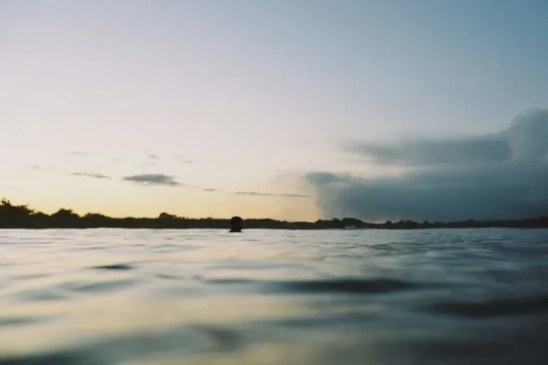 9 - Dry January, Covid et Nikonos - 10ac65bb C902 404b A9e8 5cfac540f0e6