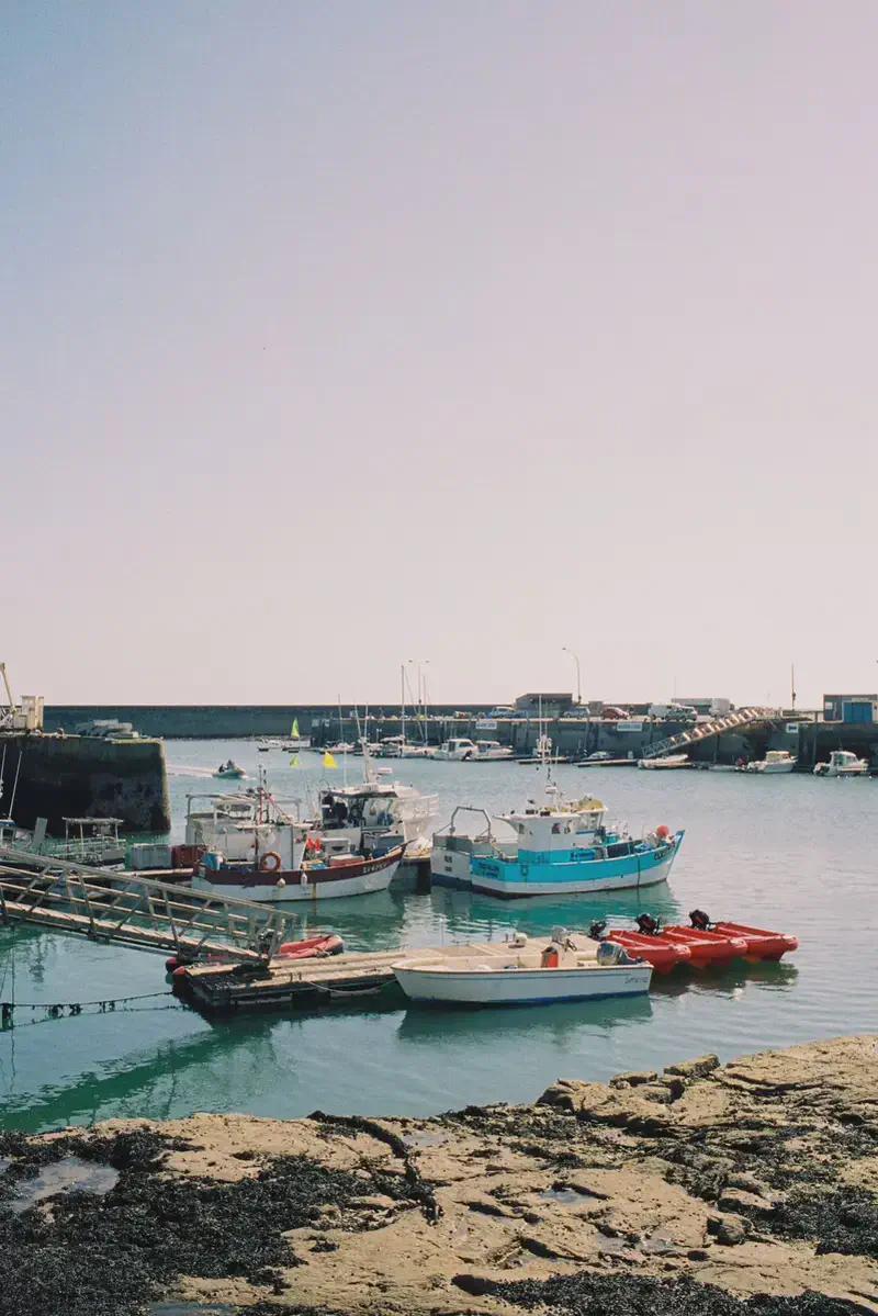 boats