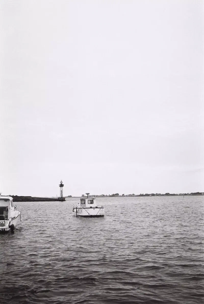 boats