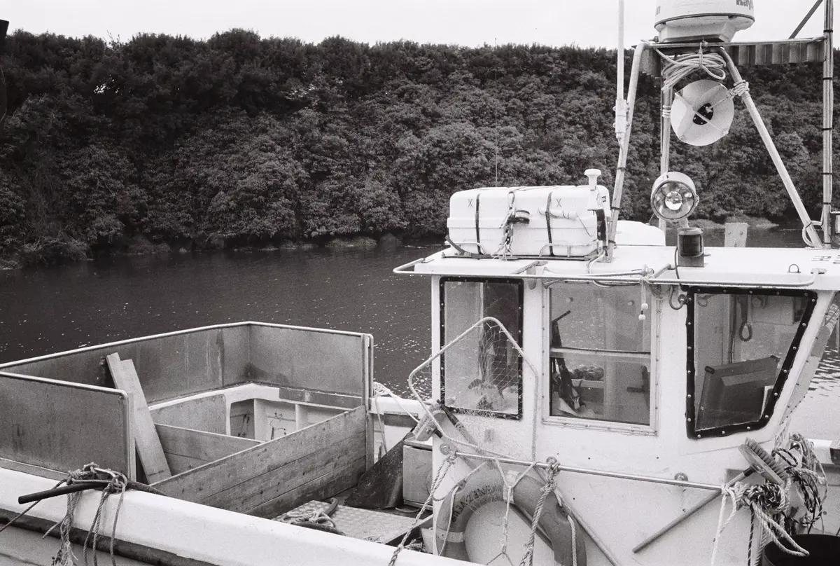 boats