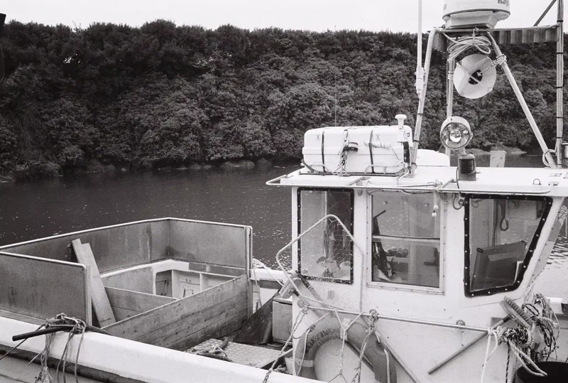 boats