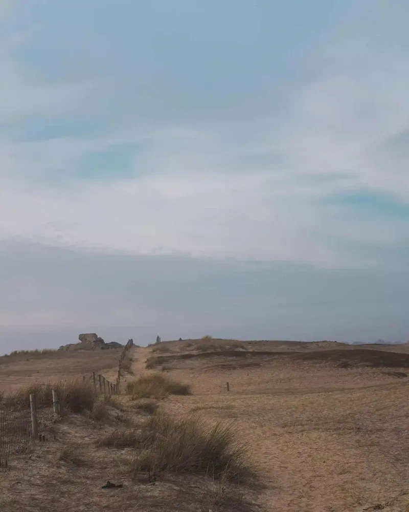 Sentier côtier à travers la lande sous un ciel voilé