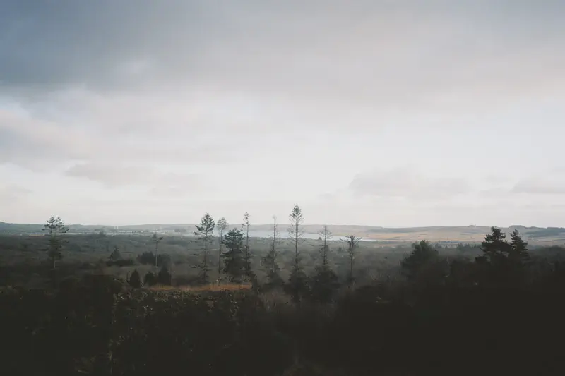 4th