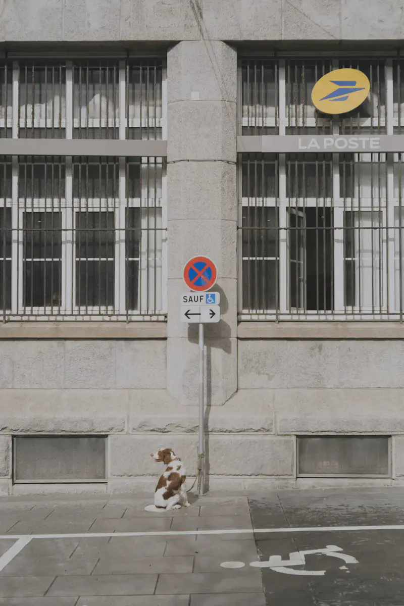 33rd
