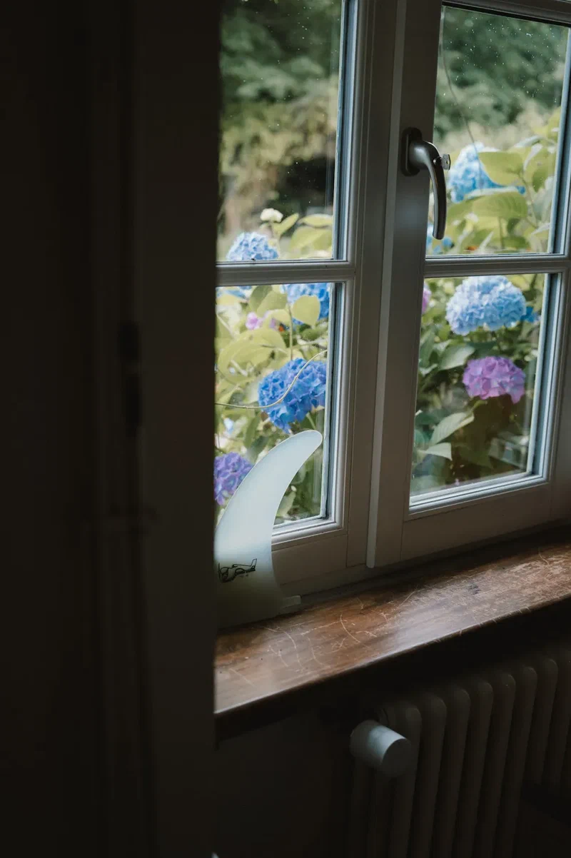 Window open onto blue hydrangeas