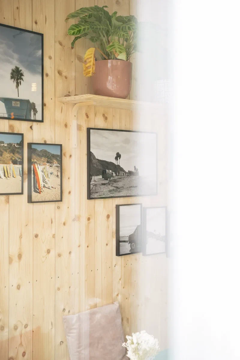 Wooden wall with framed surf photos and a plant