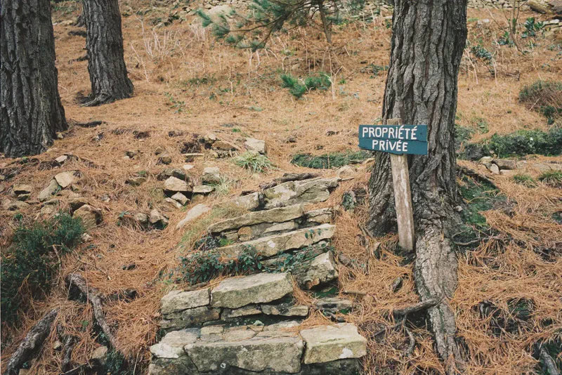 Une photo par semaine, dans ta boîte mail