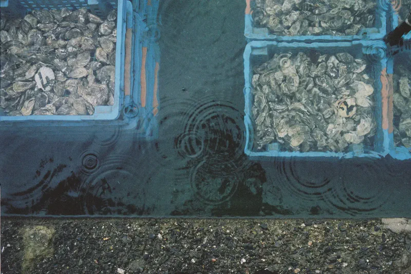 Une photo par semaine, dans ta boîte mail