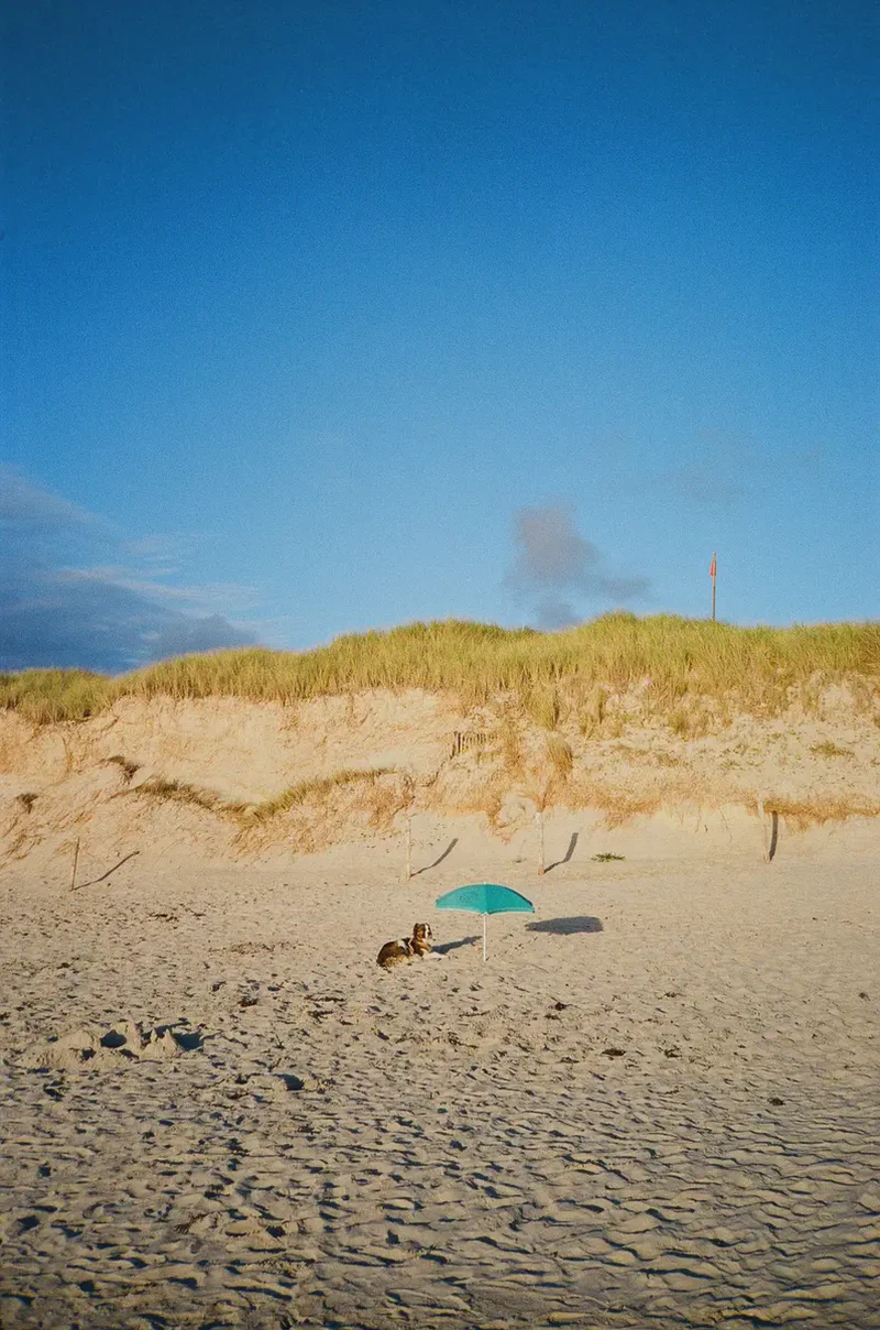 Une photo par semaine, dans ta boîte mail