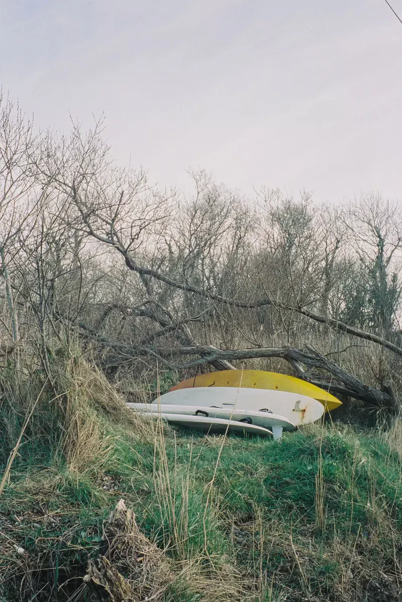 Une photo par semaine, dans ta boîte mail