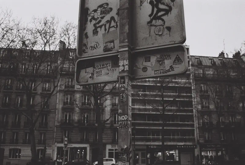 Une photo par semaine, dans ta boîte mail