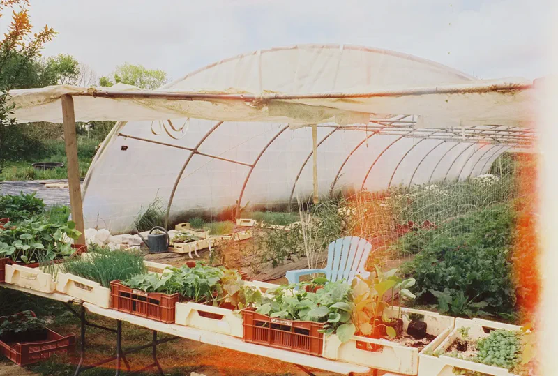 Une photo par semaine, dans ta boîte mail