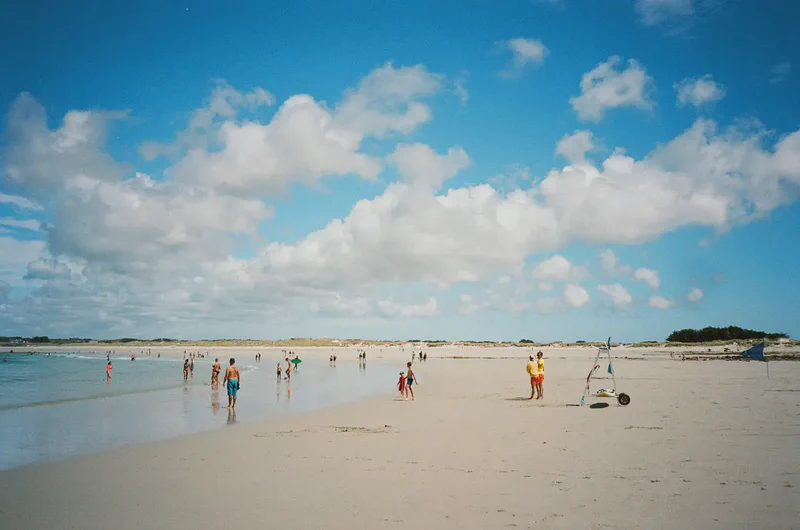 A picture per week in your mailbox