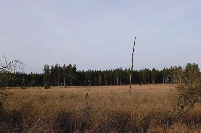 DSCF8827.webp