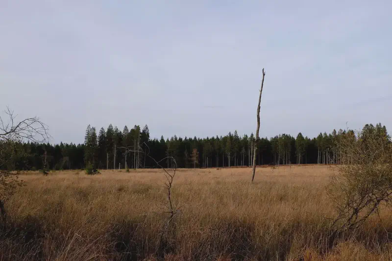 DSCF8827.webp