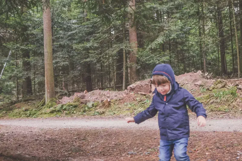 Schwarzwald 18