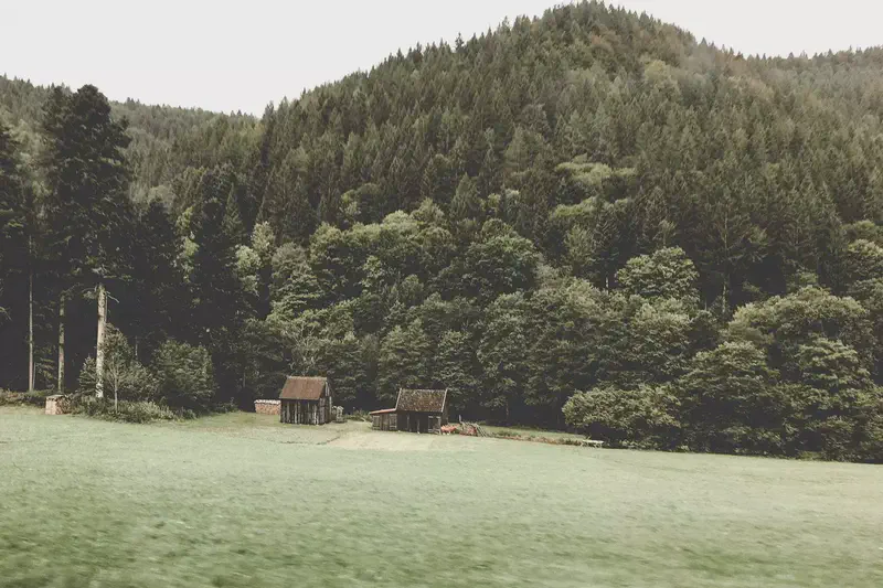 Schwarzwald 28