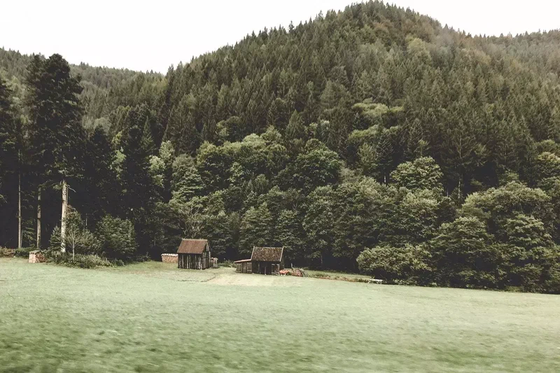 Prairie et petites cabanes au pied d'une colline boisée