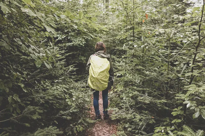 schwarzwald-33.webp