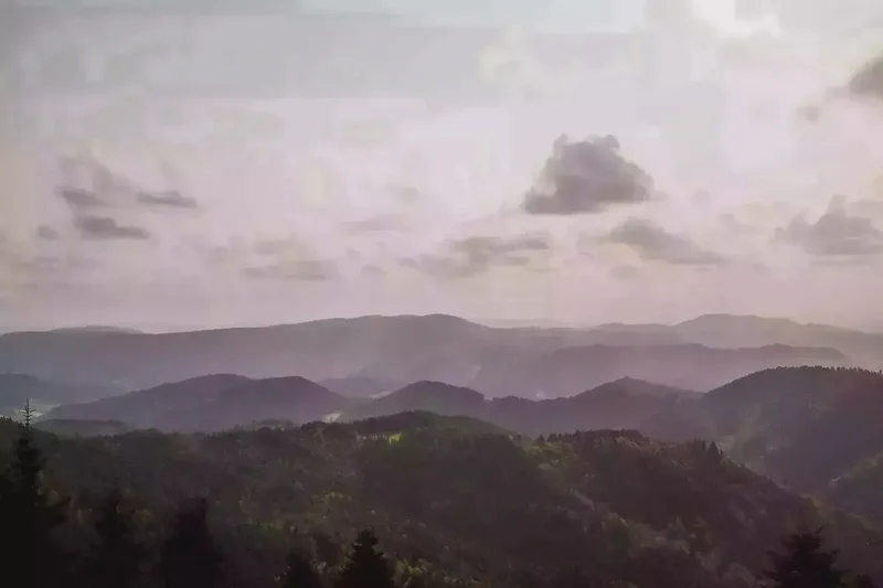schwarzwald-34.webp