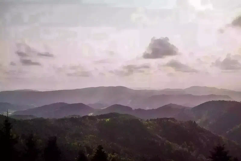 Collines de la Forêt-Noire en couches sous un ciel rose