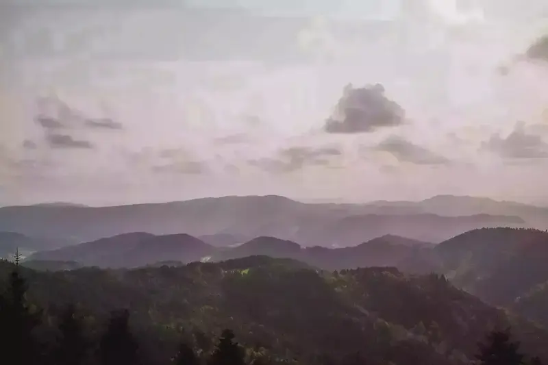 schwarzwald-34.webp