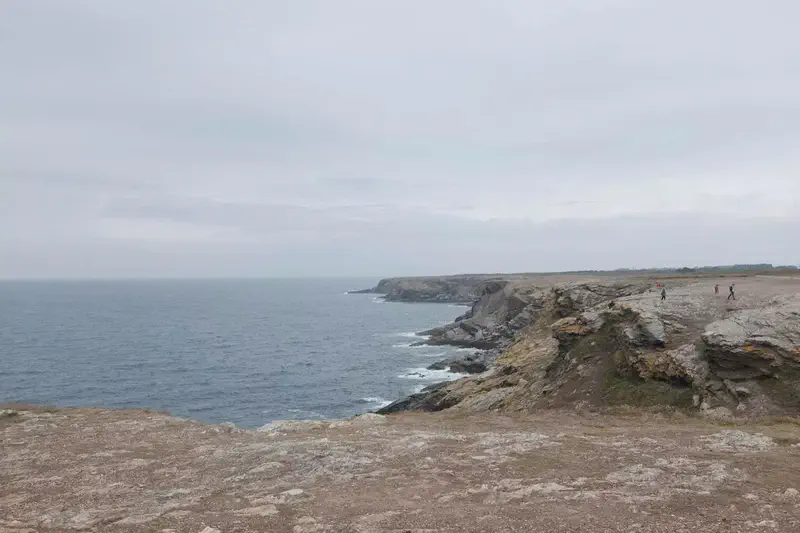 DSCF7418.webp