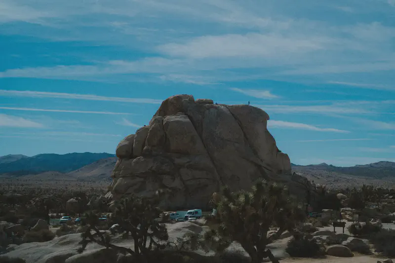 Joshua Tree - Card