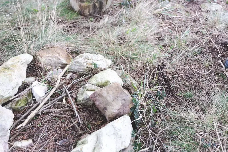 Pierres blanches et herbes sèches sur la dune