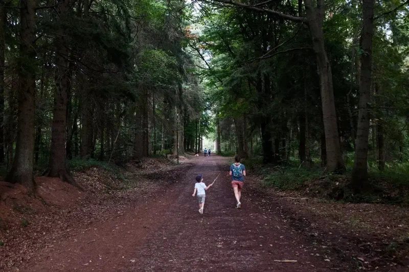 Deux enfants qui courent sur une large allée forestière
