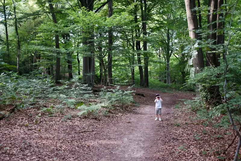 Enfant seul sur un chemin forestier