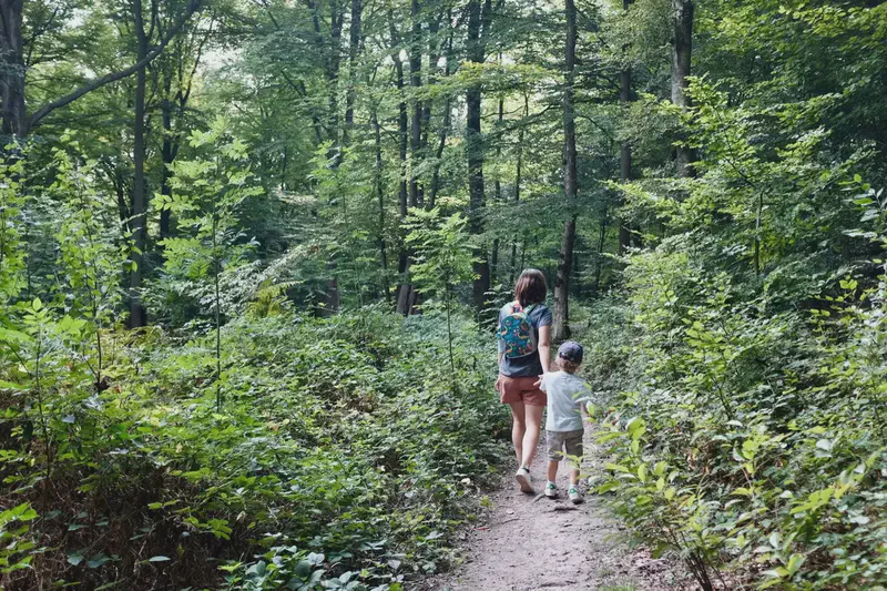 DSCF7915.webp