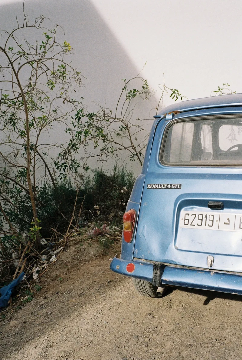 Arrière d'une Renault 4 bleue à côté d'un arbuste