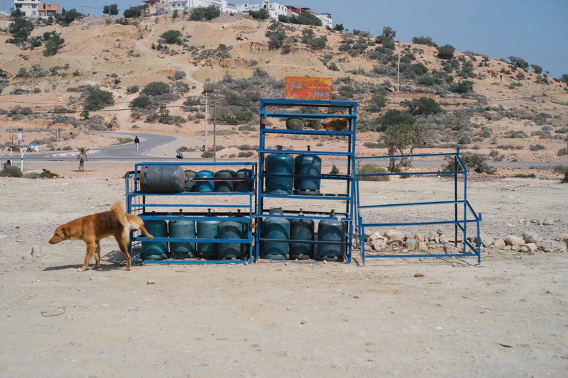 Entre Imsouane et Tamraght - Ys295064