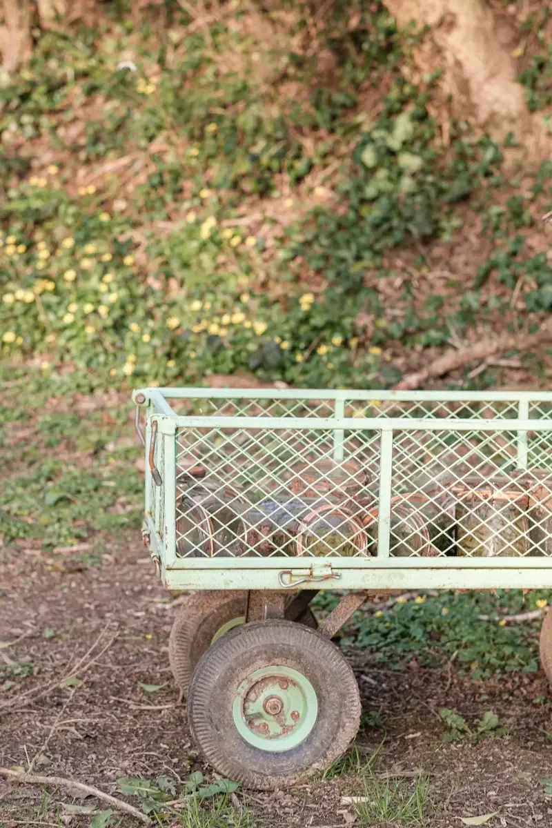 Vieux chariot de jardin en métal posé dans l'herbe