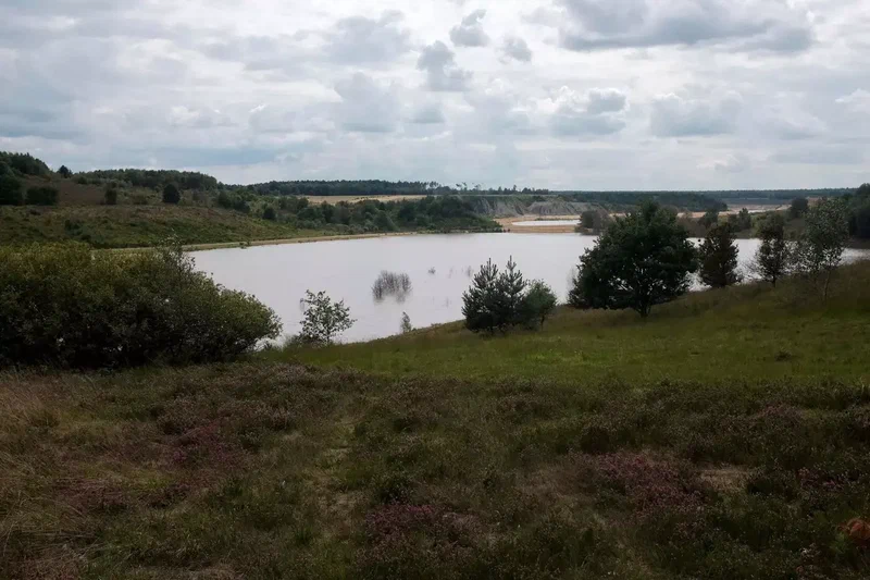 Lande et étang du parc national de la Haute Campine