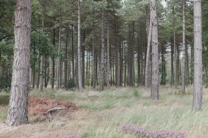 Dscf7830