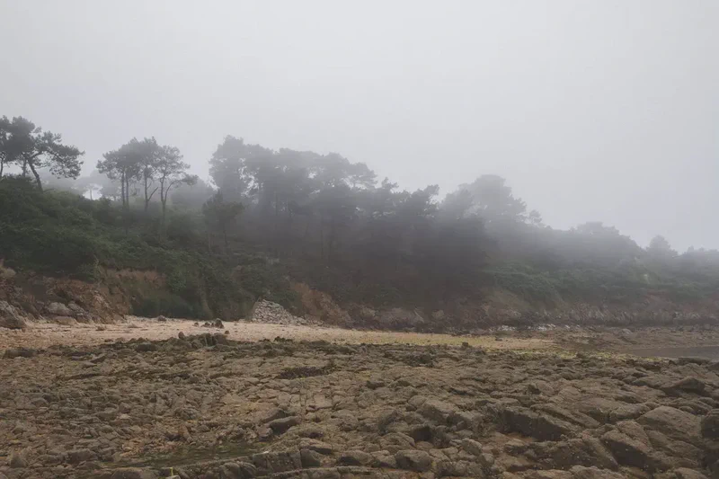 Penn-Al-Lann - Penn Al Lann 8