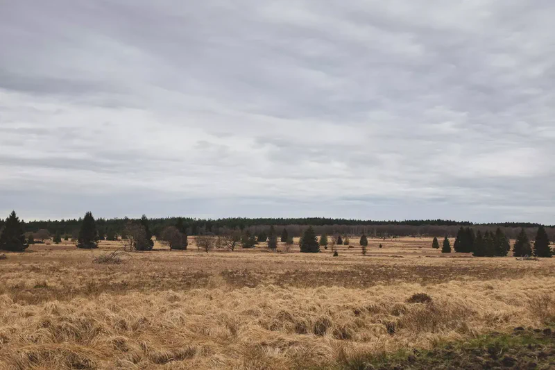 petergensfeld-5.webp